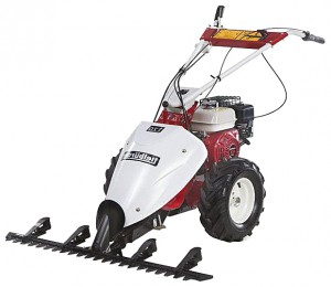 Buy hay mower Tielbuerger T70 B&S online, Photo and Characteristics