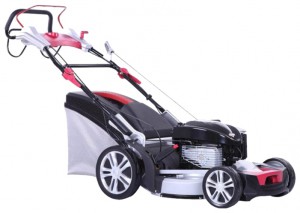Buy self-propelled lawn mower DDE WLZ21H-A-1 online, Photo and Characteristics