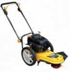 Cumpăra trimmer SunGarden TM 566 benzină pe net