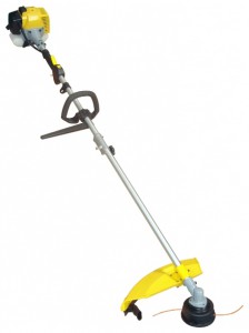 Buy trimmer Champion T263 online, Photo and Characteristics