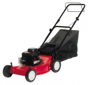 Satın almak kendinden hareketli çim biçme makinesi MTD 46 SPB çevrimiçi, fotoğraf ve özellikleri