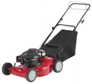 Buy self-propelled lawn mower MTD 53 S online, Photo and Characteristics