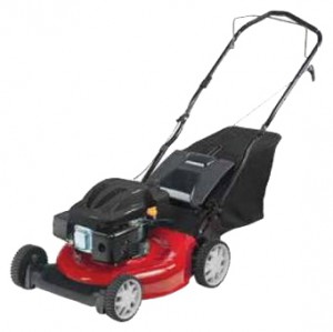 Buy lawn mower MTD 42 online, Photo and Characteristics