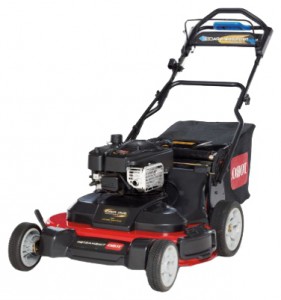 Buy self-propelled lawn mower Toro 20199 online, Photo and Characteristics