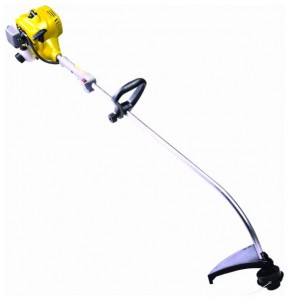 Buy trimmer Champion T221 online, Photo and Characteristics