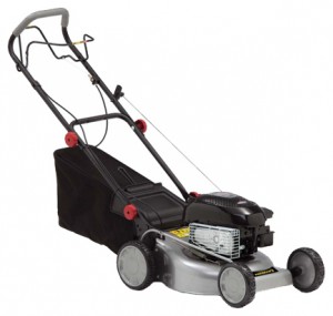 Buy self-propelled lawn mower Champion LM4133BS online, Photo and Characteristics