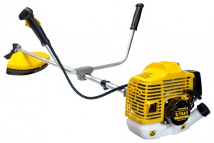 Buy trimmer Champion T447-2 online, Photo and Characteristics