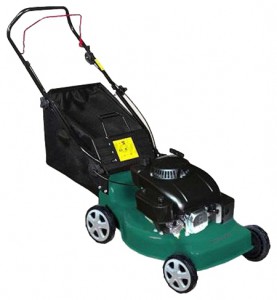 Buy lawn mower Warrior WR65135TH online, Photo and Characteristics