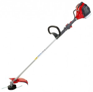 Buy trimmer EFCO DS 3800 S online, Photo and Characteristics