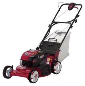 Buy self-propelled lawn mower CRAFTSMAN 37707 online, Photo and Characteristics