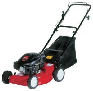 Buy self-propelled lawn mower MTD 46 SPHM online, Photo and Characteristics