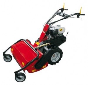 Buy self-propelled lawn mower Solo 526-75 online, Photo and Characteristics