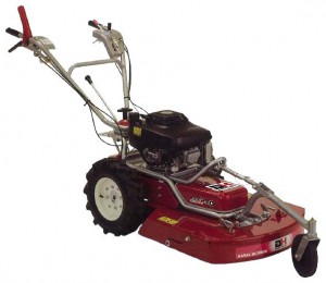 Buy self-propelled lawn mower Daishin SRM-180K online, Photo and Characteristics