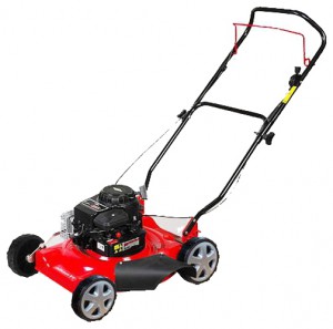 Buy lawn mower Warrior WR65242 online, Photo and Characteristics