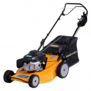 Buy self-propelled lawn mower Cub Cadet CC 5365 Pro online, Photo and Characteristics