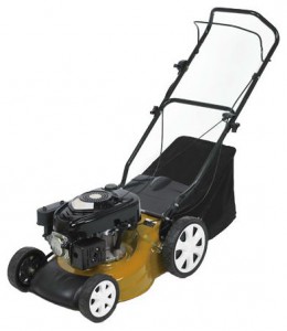 Satın almak çim biçme makinesi Watt Garden WLM-425 çevrimiçi, fotoğraf ve özellikleri