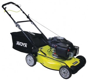 Buy self-propelled lawn mower RYOBI RLM 5219SM online, Photo and Characteristics