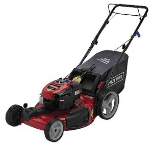 Buy self-propelled lawn mower CRAFTSMAN 37065 online, Photo and Characteristics