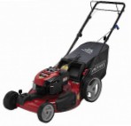 Buy self-propelled lawn mower CRAFTSMAN 37065 online