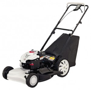Buy self-propelled lawn mower MTD SP 53 MHW online, Photo and Characteristics