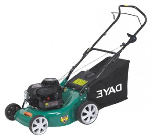Buy lawn mower Daye DYM1563 online, Photo and Characteristics