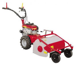 Buy self-propelled lawn mower Meccanica Benassi TR 50 online, Photo and Characteristics