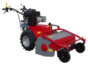 Satın almak kendinden hareketli çim biçme makinesi Meccanica Benassi TR 60 Hydro çevrimiçi, fotoğraf ve özellikleri