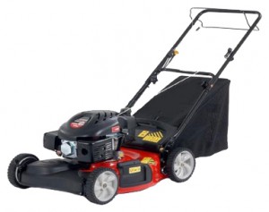 Buy self-propelled lawn mower MTD 46 MC online, Photo and Characteristics