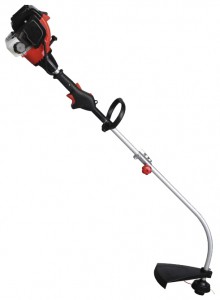 Buy trimmer Park GGT-100 online, Photo and Characteristics