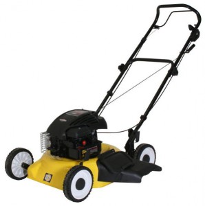 Buy lawn mower Texas Combi 45 online, Photo and Characteristics