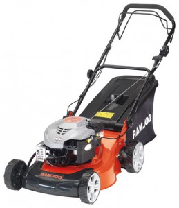 Buy self-propelled lawn mower Dolmar PM-4600 S online, Photo and Characteristics