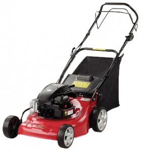 Buy lawn mower Dich DCM-1565 online, Photo and Characteristics