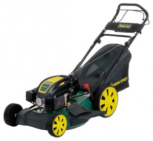 Buy self-propelled lawn mower Yard-Man YM 5519 SPBE online, Photo and Characteristics