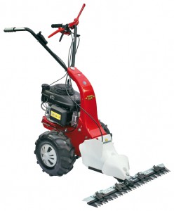 Buy hay mower Eurosystems Minieffe 502 GCV 160 Motor Mower online, Photo and Characteristics