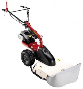 Satın almak kendinden hareketli çim biçme makinesi Eurosystems P70 850 Series Lawn Mower çevrimiçi, fotoğraf ve özellikleri