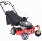 Buy self-propelled lawn mower SNAPPER ERPV21675SW Easy Line rear-wheel drive online