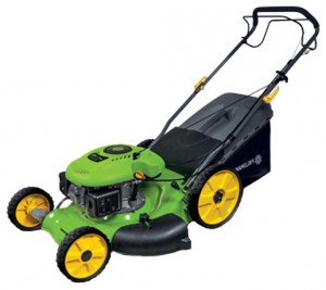 Buy lawn mower Fieldmann FZR 3003-B online, Photo and Characteristics