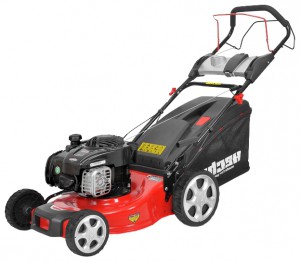 Buy self-propelled lawn mower Hecht 546 SB online, Photo and Characteristics