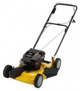 Satın almak kendinden hareketli çim biçme makinesi Texas Garden 56TR Combi çevrimiçi, fotoğraf ve özellikleri