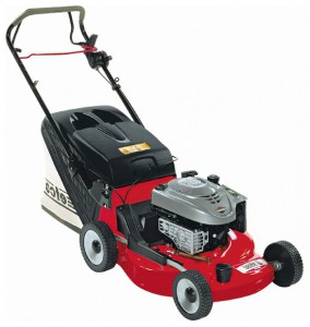 Buy self-propelled lawn mower EFCO AR 53 TBXF online, Photo and Characteristics