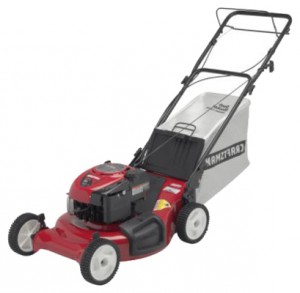 Buy self-propelled lawn mower CRAFTSMAN 37075 online, Photo and Characteristics