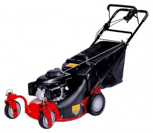 Buy self-propelled lawn mower MTD SP 53 CWH online, Photo and Characteristics