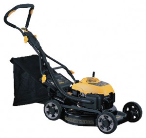 Satın almak çim biçme makinesi Champion 3062-C2 çevrimiçi, fotoğraf ve özellikleri