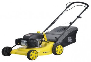 Buy lawn mower Texas SP 50 TR online, Photo and Characteristics