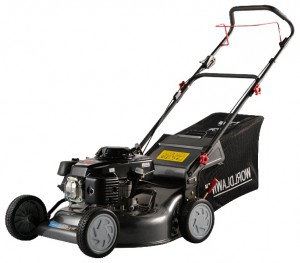 Buy self-propelled lawn mower WORLD WYS20-JH55-A online, Photo and Characteristics
