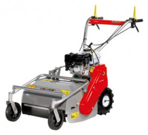 Buy self-propelled lawn mower Oleo-Mac WB 55 H 6.5 online, Photo and Characteristics