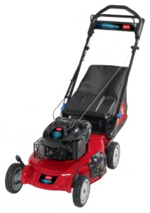 Satın almak çim biçme makinesi Toro 20792 çevrimiçi, fotoğraf ve özellikleri