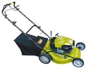 Buy self-propelled lawn mower DALGAKIRAN DJ 46-S BX online, Photo and Characteristics
