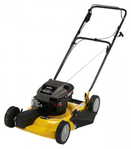 Buy lawn mower Texas Garden 50S online, Photo and Characteristics