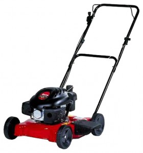 Buy lawn mower MTD 5135 PO online, Photo and Characteristics